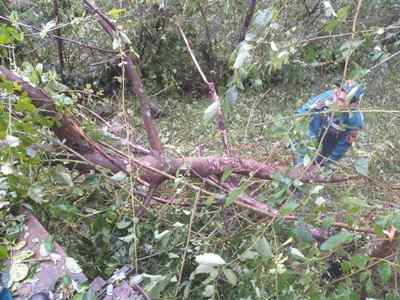 Վնասներ՝ քամու և անձրևի հետևանքով (ֆոտո)