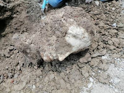 В историческом центре Рима строители обнаружили голову из белого мрамора