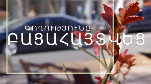 73-ամյա կինը տարադրամի փոխանակման կետից գողացել էր օտարերկրյա քաղաքացու դրամապանակը