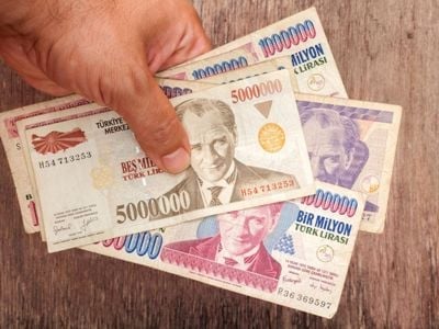 Турецкая лира обновила исторический минимум