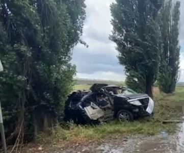 В Ростовской области машина врезалась в дерево: Двое граждан Армении погибли, еще один  – госпитализирован