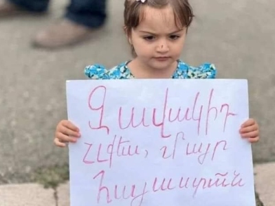 Թույլ չտալ, որ երեխային ուտեն, փրկել ամբողջ տունը. Անդրանիկ Թեւանյան