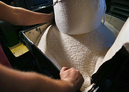 Russia bans rice export