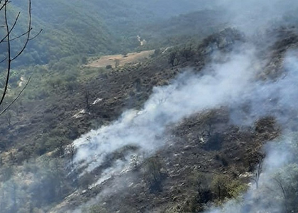 Ներքին Հանդում այրվել է 8 հա բուսածածկույթ