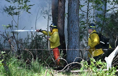 Death toll from Hawaii wildfires reaches 80