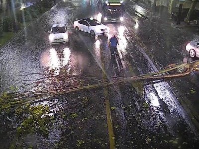 Мэрия Тбилиси: Сильные дожди и ветер создали проблемы в столице
