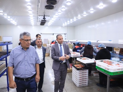 Վահան Քերոբյանը Կամարիսում այցելել է ելակի, ազնվամորու և մոշի մշակությամբ զբաղվող ջերմոցային տնտեսություն