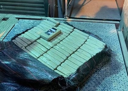 В порту Петербурга таможенники обнаружили партию кокаина на 100 млн рублей