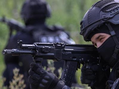 Губернатор Богомаз: в Брянской области отразили атаку украинских диверсантов