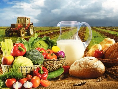 ԵԱՏՄ-ում գյուղատնտեսական արտադրանքը 2023 թվականի հունվար-հուլիսին աճել է 1,8%-ով
