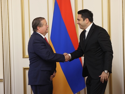 ՀՀ ԱԺ-ի հետ համագործակցության ծրագրերն առնվազն մեկ տարի շարունակական կլինեն. IRI-ի տարածաշրջանային ծրագրերի տնօրեն