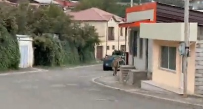 Azerbaijani forces advance toward Stepanakert suburb, enter first houses, reports Artak Beglaryan