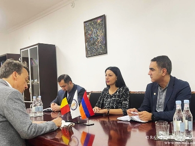 Անահիտ Մանասյանը Բելգիայի դեսպանին ներկայացրել է ԼՂ-ից բռնի տեղահանվածների իրավունքների պաշտպանությանն առնչվող հարցեր