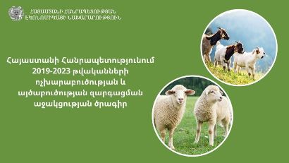 ՀՀ-ում ոչխարաբուծության և այծաբուծության զարգացման աջակցության ծրագիրը իրականացվում է երկու եղանակով