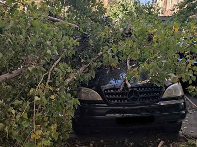 Երևանում քամու հետևանքով ծառը արմատախիլ է եղել և ընկել ավտոմեքենայի վրա