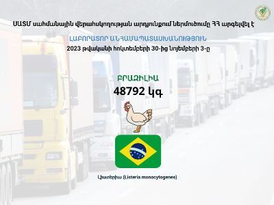 Инспекционный орган: Запрещен ввоз в Армению мяса птицы из Бразилии