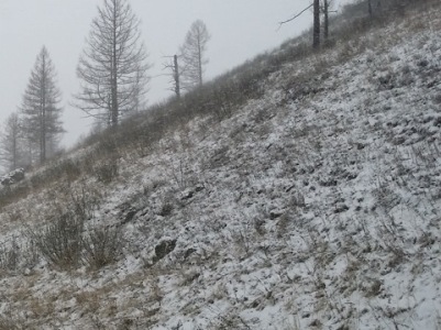 Погода в Армении: в горах мокрый снег