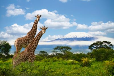 Եկող տարվա հունվարից Քենիան կչեղարկի բոլոր այցելուների վիզաները