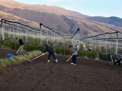 Շվեյցարիան 10 մլն շվեյցարական ֆրանկ է ներդնում Հայաստանի հետ անտառների վերականգնման 10-ամյա նախագծի համար
