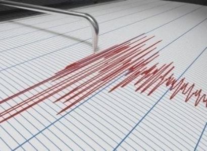 В Японии произошло уже более 30 землетрясений