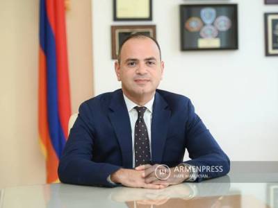 Синанян: Будет проделана значительная работа по формированию института уполномоченных по делам диаспоры