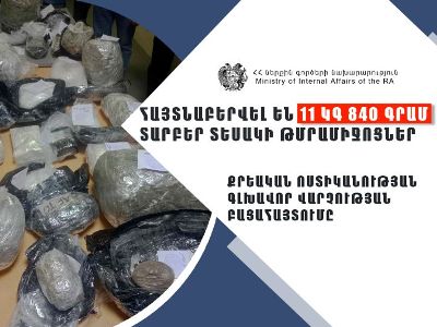 Полиция: В Армении обнаружено свыше 11 кг. различных видов наркотиков