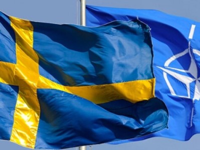 Turkey parliament passes Sweden's NATO membership protocol