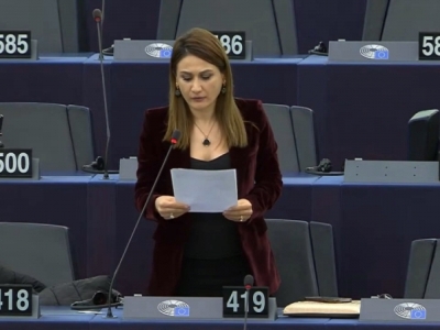 Armenia MP at PACE: Council of Europe member countries must prosecute those who threaten or harm journalists