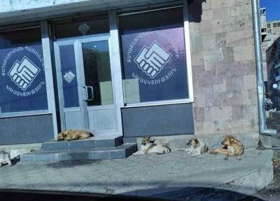 «Հրապարակ». ՔՊ-ականները նախընտրական եռուզեռի մեջ են