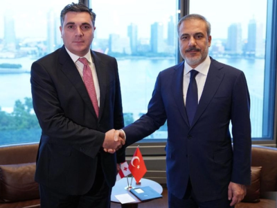 Վրաստանի և Թուրքիայի արտգործնախարարները քննարկել են իրավիճակը Հարավային Կովկասում