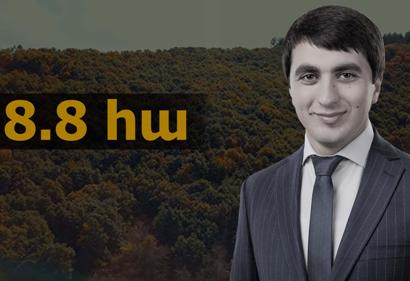 Սևակ Միքայելյանը տապալել է ապօրինի սեփականաշնորհված անտառների վերադարձի դատական գործերը. «Հետք»
