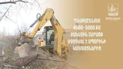 Мэрия Еревана: В Давидашене от незаконных построек освобождены дворовые территории