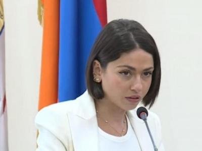 «Ժողովուրդ». Նուարդ Վարդանյանի հայտարարագրում կեղծի՞ք կա