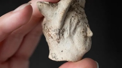 В Англии благодаря 2000-летней находке обнаружено место ранее неизвестного римского поселения