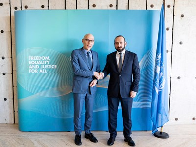 Ararat Mirzoyan assured UN High Commissioner for Human Rights of commitment to principles of "peace process"