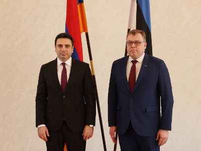 Խաղաղության հաստատման ճանապարհին մեզ համար կարեւոր են հիմնական երեք սկզբունքները. Ալեն Սիմոնյանը՝ Էստոնիայում