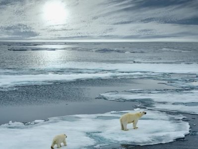 Nature Reviews Earth & Environment: Arctic ice will disappear within next few years