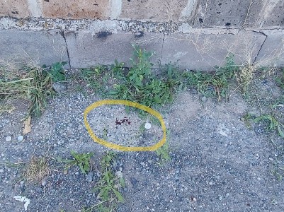 Քարակերտի գիշերային ակումբում սպանության վարույթի նյութերը, 23-ամյա երիտասարդի մասով ուղարկվել են դատարան