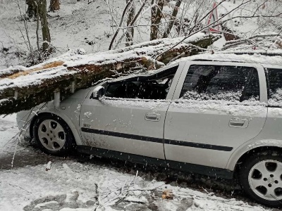 Տավուշում ծառն ընկել է «Opel»-ի վրա և միակողմանի փակել ճանապարհը. Փրկարարները մասնատել են ծառը