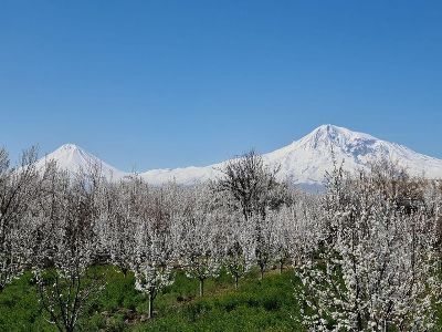 Գեղեցկությունն էլ չափ կունենա. Սուրենյանը լուսանկար է հրապարակել