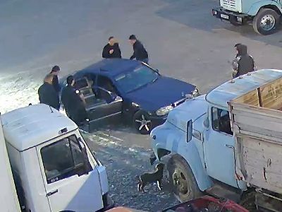 МВД отреагировало на сообщение о полицейском насилии