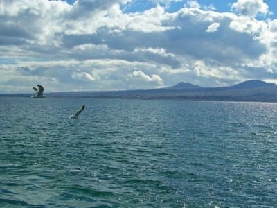 Սևանա լճի մակարդակը բարձրացել է 1 սմ-ով