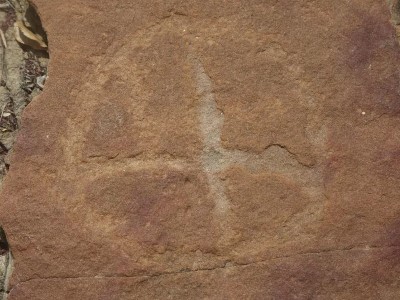 Исследование: Доисторические люди вырезали рисунки на скалах рядом со следами динозавров