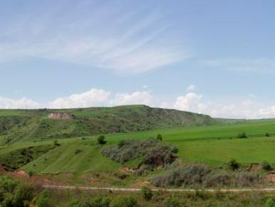 Սյունիքում 14-ամյա տղան դաշտում սինդրիկ հավաքելիս վնասվածքներ է ստացել ու տեղափոխվել հիվանդանոց