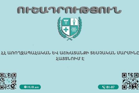 Տեղեկություններ կան՝ որոշ գործատուներ աշխատակիցներին պարտադրում են մասնակցել երթերի․ տեսչական մարմին