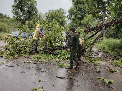 Вследствие ветра нанесен ущерб в Ереване, Котайке, Арагацотне, Армавире, Лори и Тавуше
