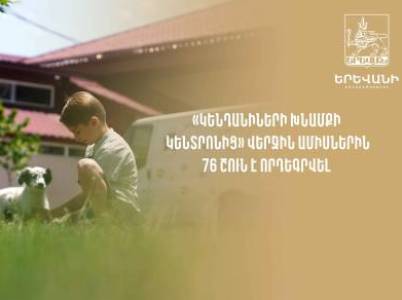 «Կենդանիների խնամքի կենտրոն»-ից վերջին ամիսներին 76 շուն է խնամակալ ունեցել (վիդեո)