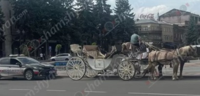 Գյումրիում ձին կծել է 7-ամյա աղջկա թևը. նրան տեղափոխել են հիվանդանոց. Shamshyan.com