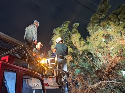 Непогода наломала дров в Ереване: сорванные крыши, оборванные линии электропередачи