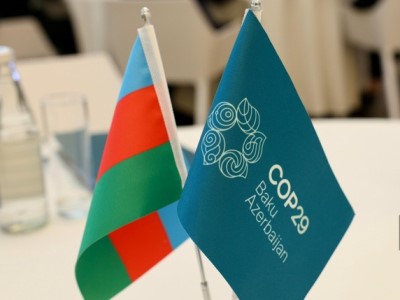 Բաքվում COP29 համաժողովի անցկացման նպատակը Ղարաբաղում էթնիկ զտումներն արդարացնելն է. Fridays For Future